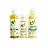 4-HAIRLESS PETS SENSITIVE SHAMPOO, WATERLESS & CONDITIONER KIT