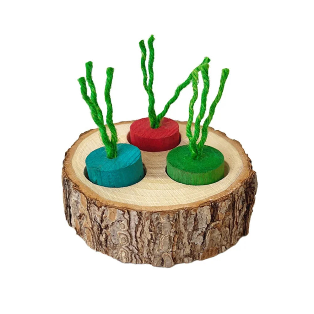 Wooden Round Shaped Parrot Chewing Toy Educational Supplies for Small Pet Birds Parrot Hamster Rabbit Chewing Toys Foraging Toys
