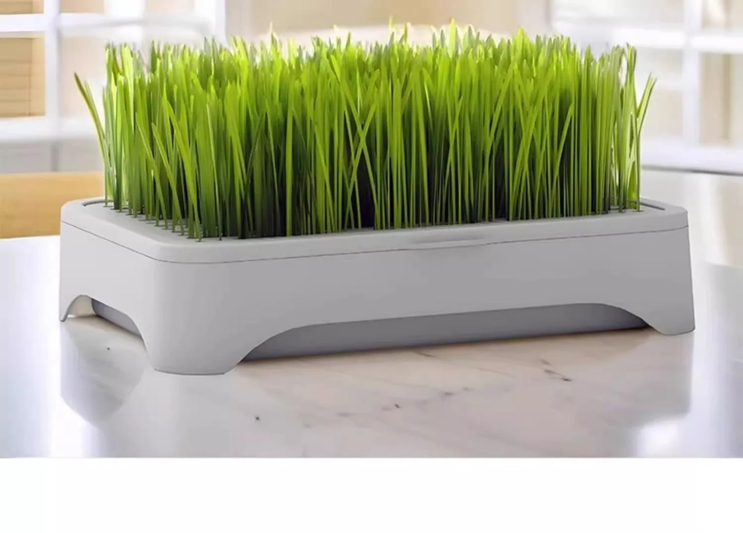 Pet Cat Grass Planting Pot Soilless Hydroponic Wheat Seedling Planter Kit for Kitten Indoor Gardening Horticultural Plant Use