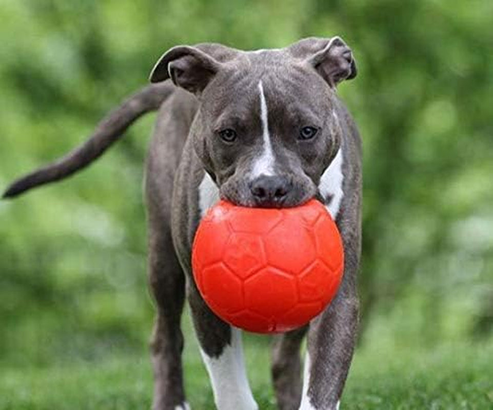 Medium Soccer Ball Floating-Bouncing Dog Toy, 6 Inch Diameter, Orange (SB06 OR) | Medium 6 Inch Durable Dog Soccer Ball for Dogs 20 to 60 Lbs, Won'T Deflate When Punctured, Floats for Water Play, Made in USA