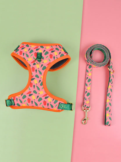 Summer Cute Pet's Chest-back Haulage Rope Package Suitable For Medium And Large Pet Dogs