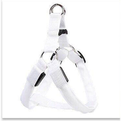 Dog Leashing Vest With Led Illuminated Chest Back