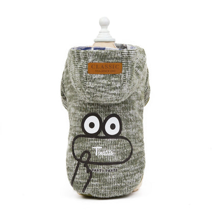 Teddy dog clothes