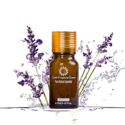"Dredge Meridian Essence Oil