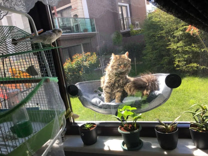Pet Hammock Beds Cat Window Felt Bed Suction Cat Rest Shelf House cat lounger Ferret Pet Bed Warm Soft and Comfortable BD0150