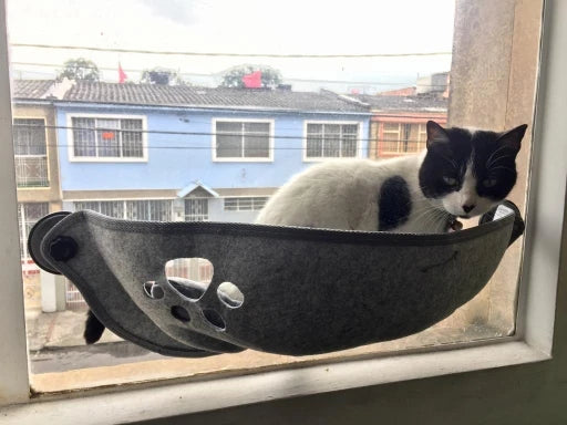 Pet Hammock Beds Cat Window Felt Bed Suction Cat Rest Shelf House cat lounger Ferret Pet Bed Warm Soft and Comfortable BD0150