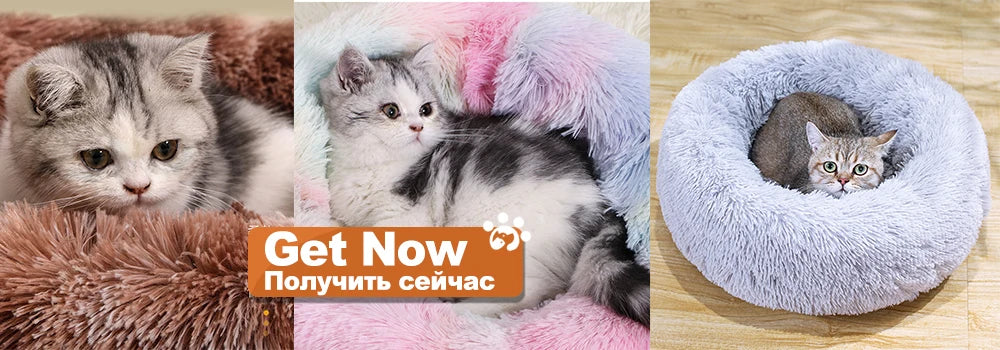 Pet Hammock Beds Cat Window Felt Bed Suction Cat Rest Shelf House cat lounger Ferret Pet Bed Warm Soft and Comfortable BD0150