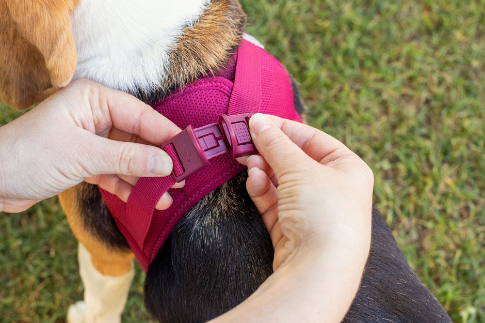 Curli Air Mesh Clasp Brown Vest Harness