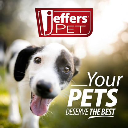 Jeffers Pet Tearless All-Purpose All-Natural Coconut Oil Shampoo for Dogs & Cats