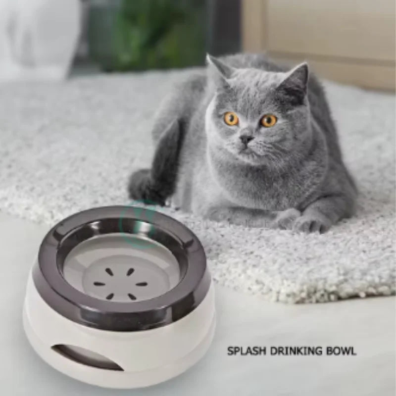 Portable Plastic Pet Dog Bowls No Spill Floating Design Non-Slip Cat Bowl Water Feeder Dry Mouth Support Pet Accessories