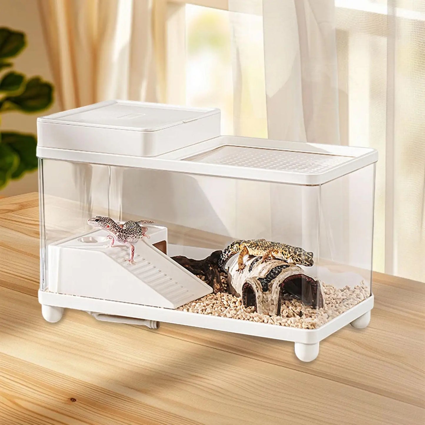 Large Turtle Tank Reptile Habitat Sturdy Terrarium for Terrapin Bearded Dragon Leopard Gecko Enclosure
