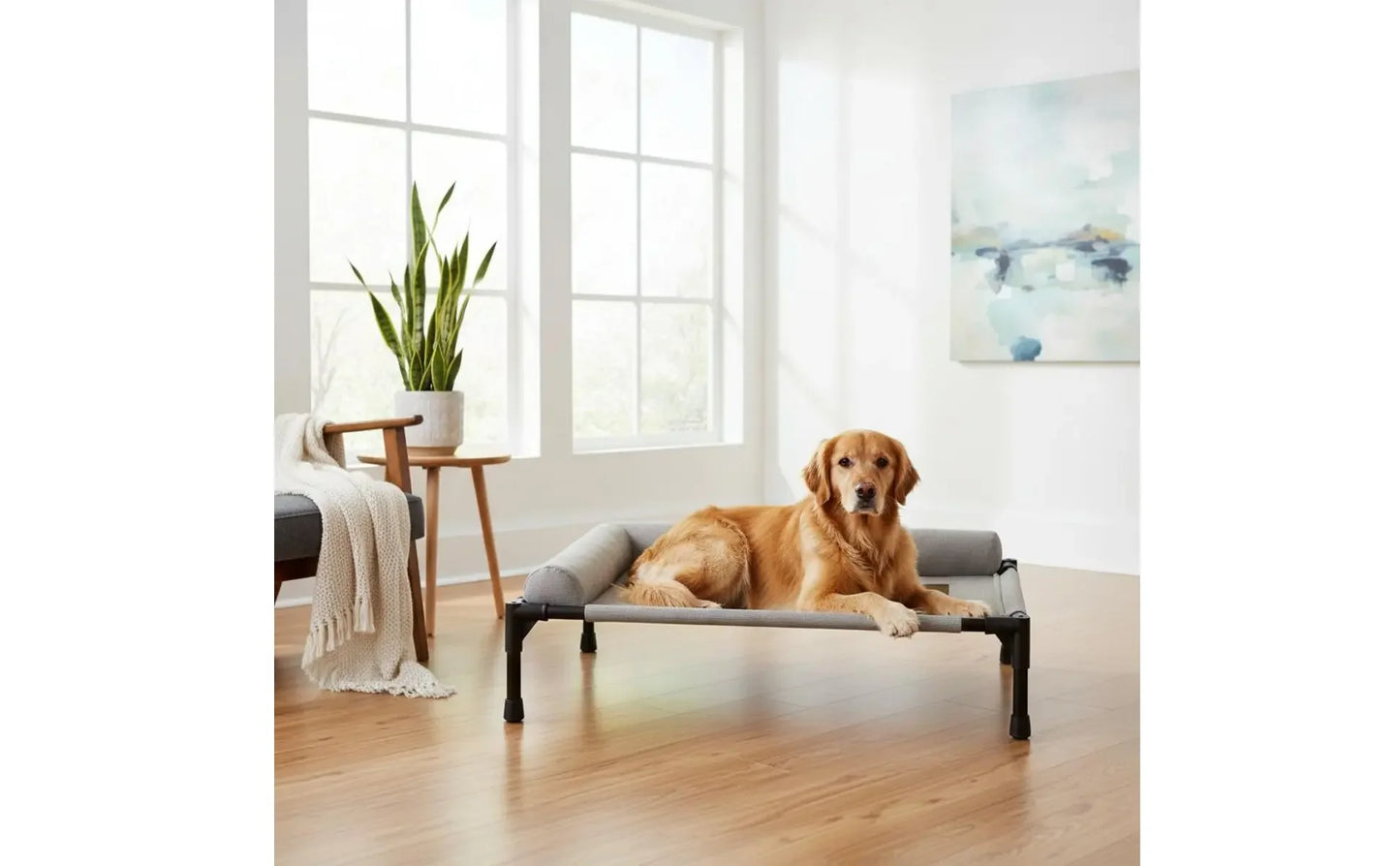 Elevated Pet Bed All-Sekkon Use Raised Dog and Cat Bed Pet Cot Moisture-Resistant Easy to Clean for Dogs, Travel, Patio