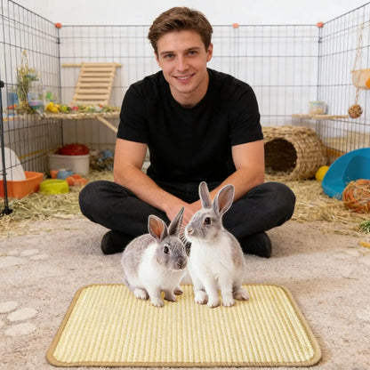 Rabbit Scratching Mat Indoor Foraging Scratcher Rug 15.7x23.6 In Scratch Board For Cage Hutch Floor Home Resting Biting Sleeping