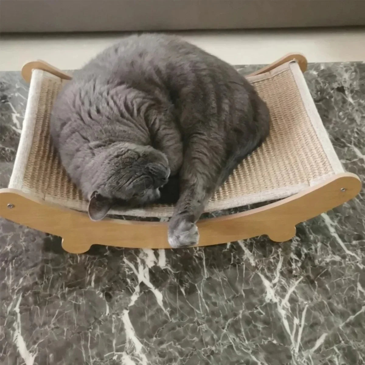 Wooden Cat Scratching Pad Detachable Wear-resistant Cat Scratch Board Multifunctional Cat Bed Grinding Claw Toy for Kitten