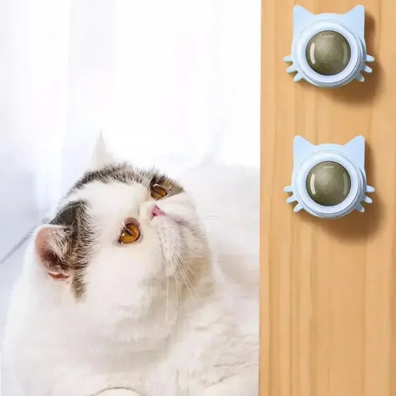 Catnip Toys for Cats Indoor Interactive Wall Spin Ball Natural Mint Enhances Digestion Appetite Stimulant Cat Dental Care