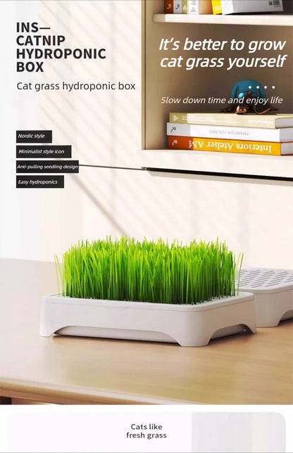 Pet Cat Grass Hydroponic Planter Pot Kitten Wheat Seedling Soilless Planting Device for Indoor Home Garden Plant Care