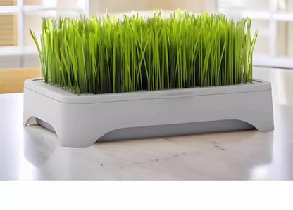 Pet Cat Grass Hydroponic Planter Pot Kitten Wheat Seedling Soilless Planting Device for Indoor Home Garden Plant Care