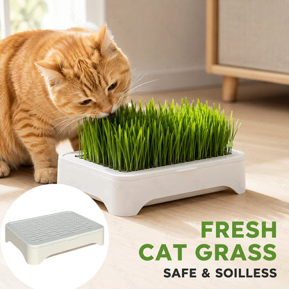 Pet Cat Grass Hydroponic Planter Pot Kitten Wheat Seedling Soilless Planting Device for Indoor Home Garden Plant Care