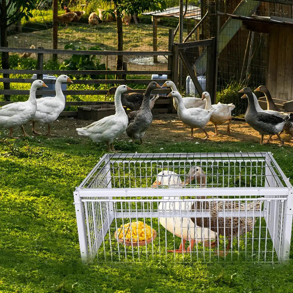 Auto Trap Bird Cage Rabbit Cage Mouse Cage Entry Only No Exit Thickened Encrypted Automatic Pigeon Collecting Portable Bird Cage