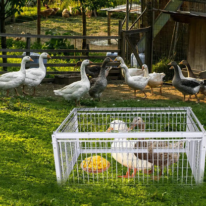 Auto Trap Bird Cage Rabbit Cage Mouse Cage Entry Only No Exit Thickened Encrypted Automatic Pigeon Collecting Portable Bird Cage