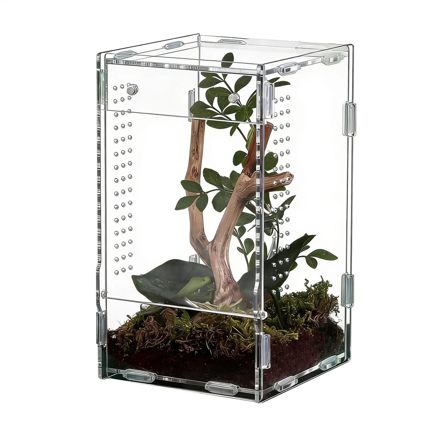 Reptile Enclosure Front Opening Escape Proof Habitat Acrylic Jumping Spider Habitat For Observation Home Pet Store Office