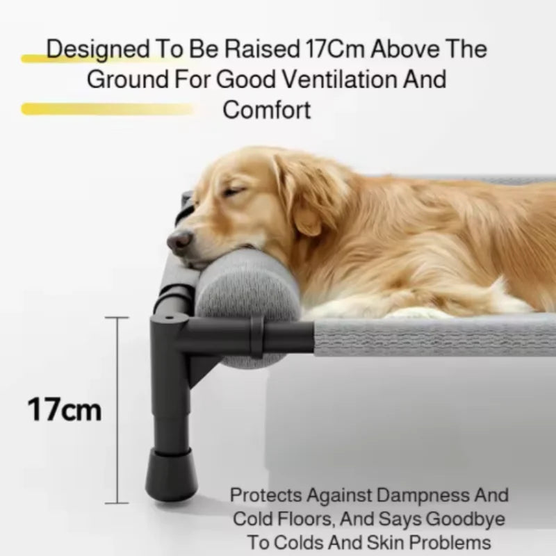 Medium Large Pet Bed Breathable Raised Mesh Sofa for Cats And Dogs with Removable Washable Pillow Moisture-Proof Off-the-Ground