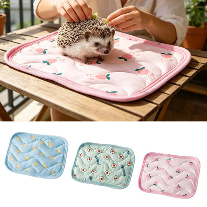 Pet Cooling Mat Summer Pet Cold Bed  For Small Dogs Cat Durable Blanket Sofa Cat Ice Pad summer Blanket Pet Accessories