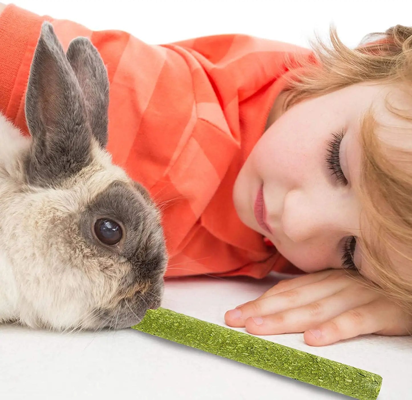 Pets Chewing Toys Carrot Timothy Hay Molar Sticks for Rabbits Guinea Pig Hamsters Chinchilla Bunny Chew Toys Teeth Treats