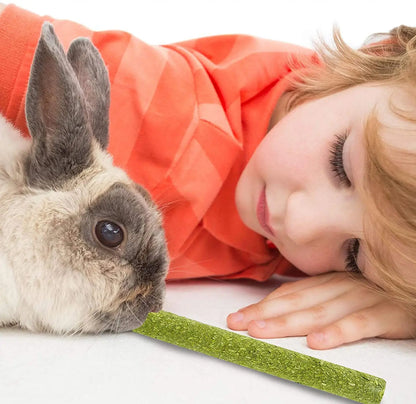 Pets Chewing Toys Carrot Timothy Hay Molar Sticks for Rabbits Guinea Pig Hamsters Chinchilla Bunny Chew Toys Teeth Treats
