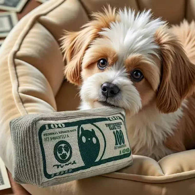 Dog Toy Money Shape Bite Resistant Indestructible Squeaky Toy Sound Interactive Self-Play for Dog Puppy Cat Pet Training Supplie
