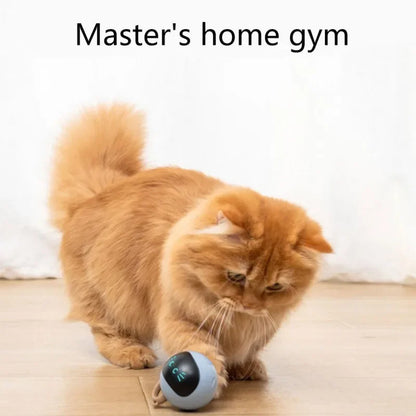 Cat Training Sounds Smart Cat Toys Interactive Ball Toys Dog  Squeaks Dog Cat Play Gravity Ball
