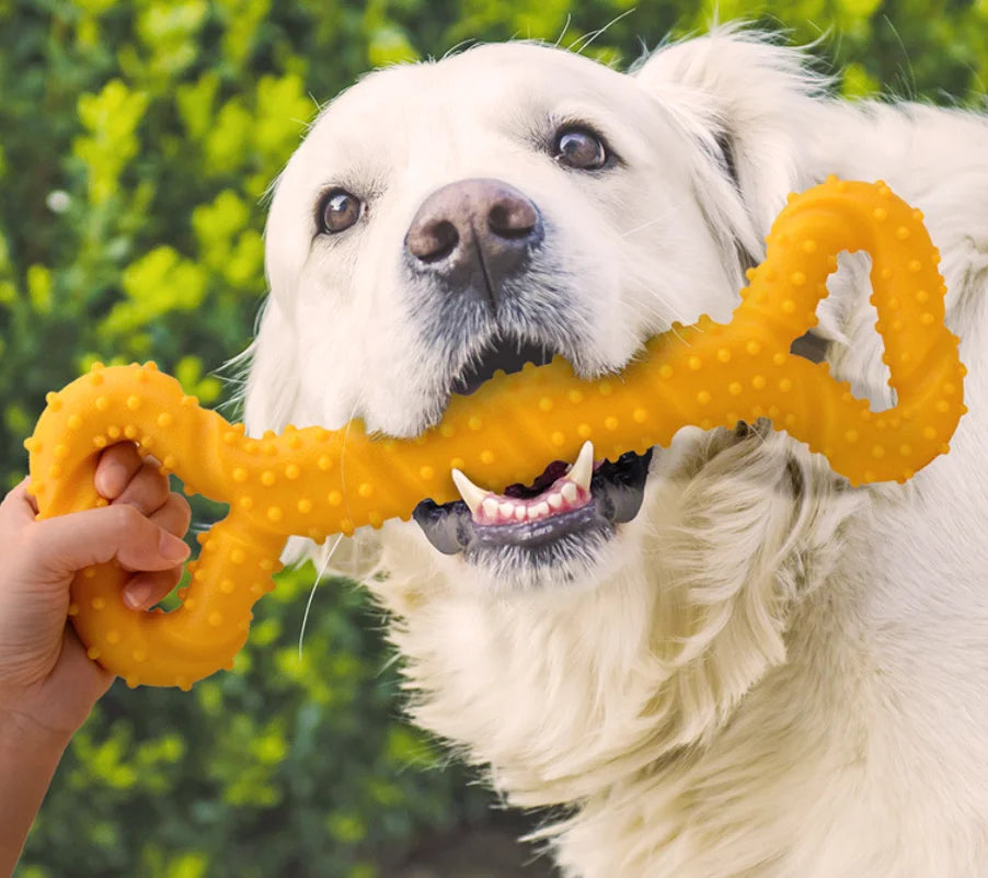 Pet Toys, Dog Toys, Durable Chew Sticks, Bones, Golden Retriever, Border Collie, Labrador, Large Dog Boredom-Relief Toys