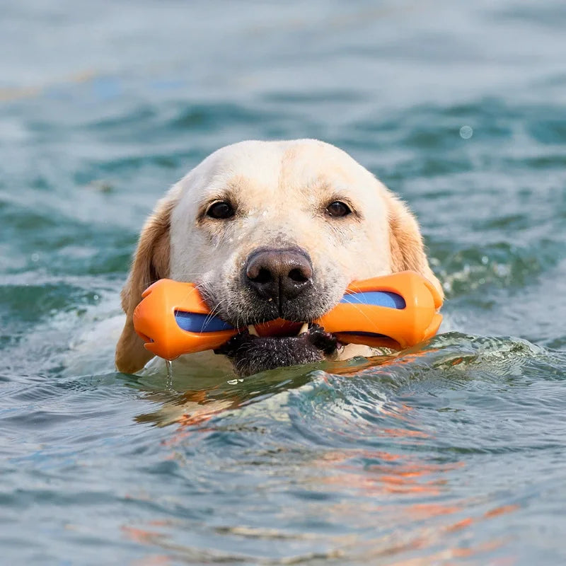 Pet Dog Floating Water Toy TPR Rubber Durable Interactive Training Relieve Boredom Swimming Throw Toy Outdoor Dog Chew Toys