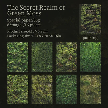 16 Sheets Nature Green Moss Theme Specialty Paper | Scrapbooking and Card Making Paper Pack