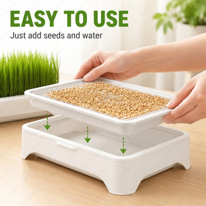 Pet Cat Grass Hydroponic Planter Pot Kitten Wheat Seedling Soilless Planting Device for Indoor Home Garden Plant Care