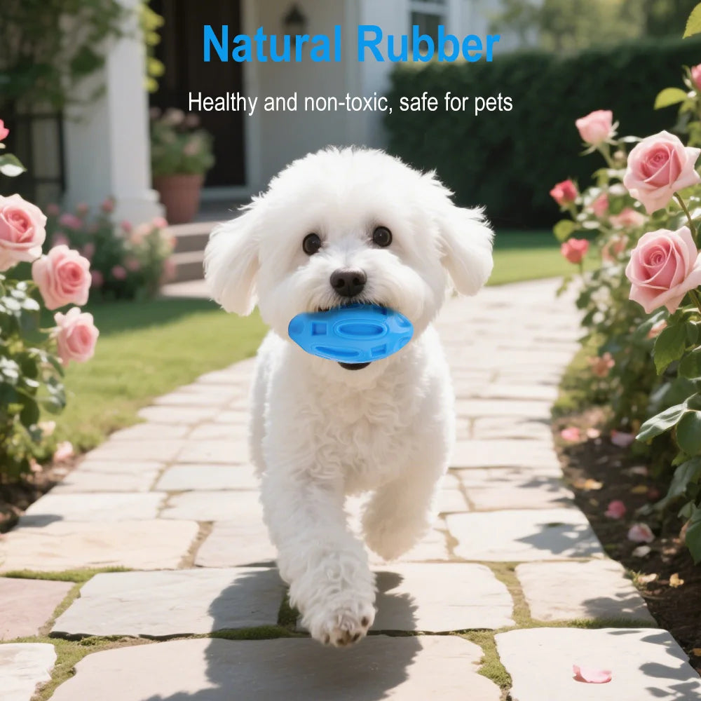 New Dog Toy Ball High Quality Rubber Sounding Olive Balls Super Durable Teeth Sharpening Chewing Training Toys Pet Supplies