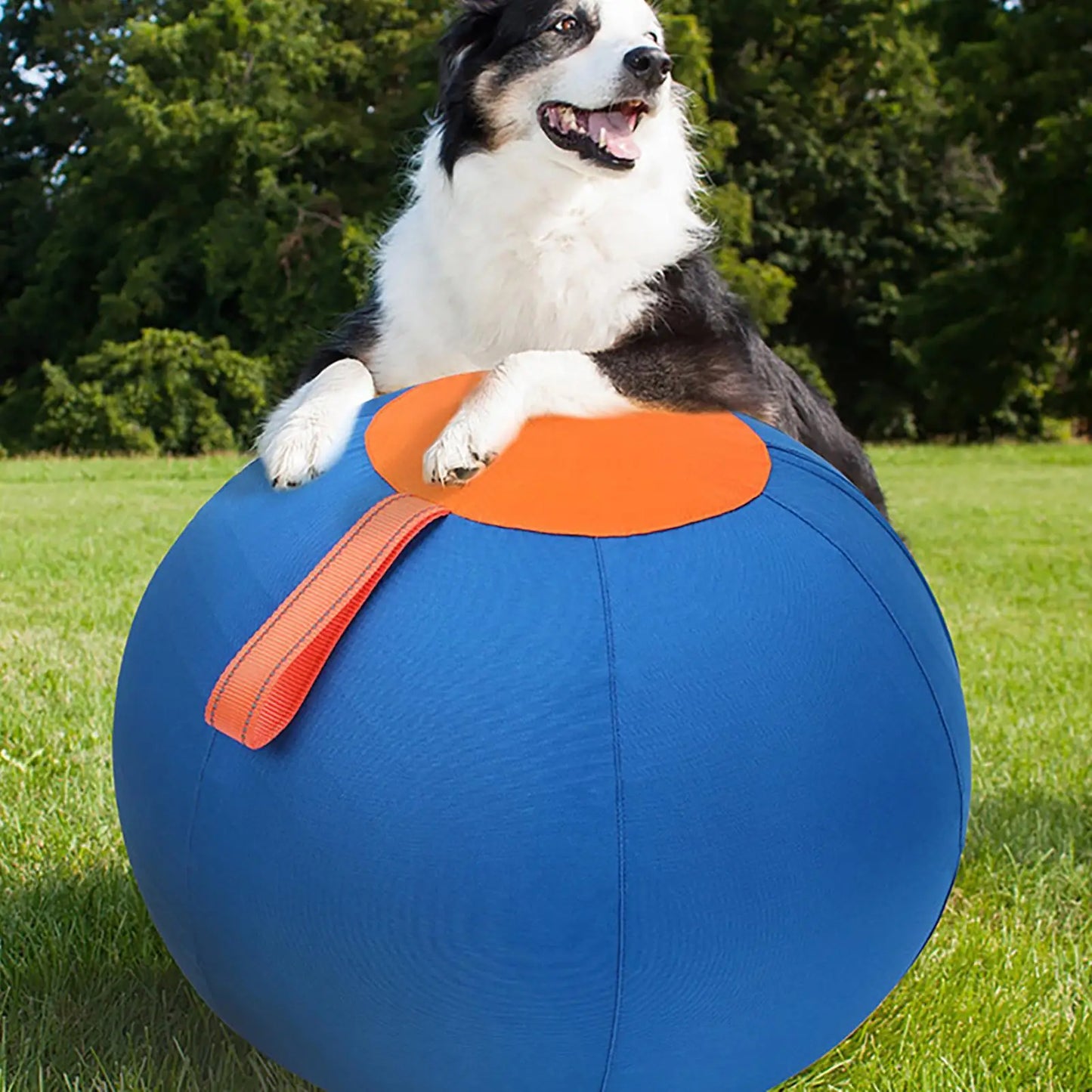 Dog Interactive ball Toys Children Large Balls Dog Outdoor Training Balls Pet Sporty Bite Chew Teething Ball