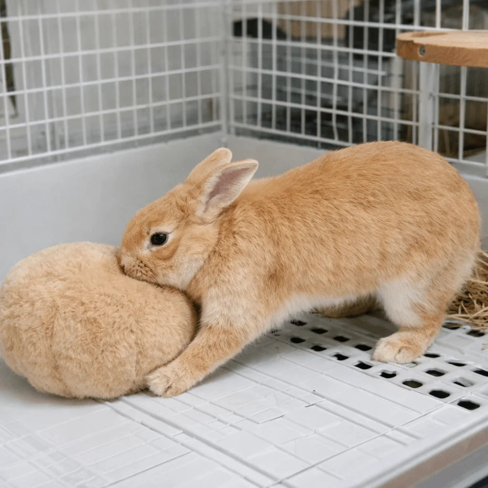 Bite Resistant Rabbit Soothing Ball Simulated Rabbit Buttocks Plush Pet Chewable Ball Comfortable Soft Rabbit Venting Ball