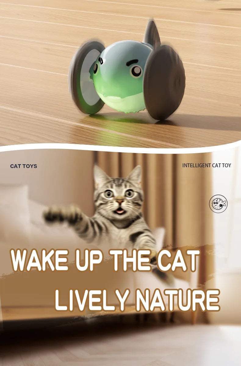 New pet self entertainment toy car, cat teasing tool, electric flying fish, intelligent running car, cat toy