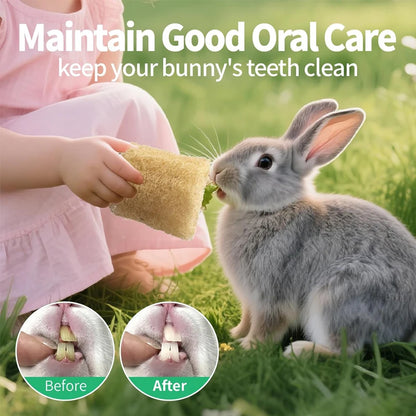 2PCS Rabbit Chew Toys, Natural Loofah Bunny Chew Toys for Teeth Cleaning, Small Animals Foraging Toy for Bunny Chinchilla