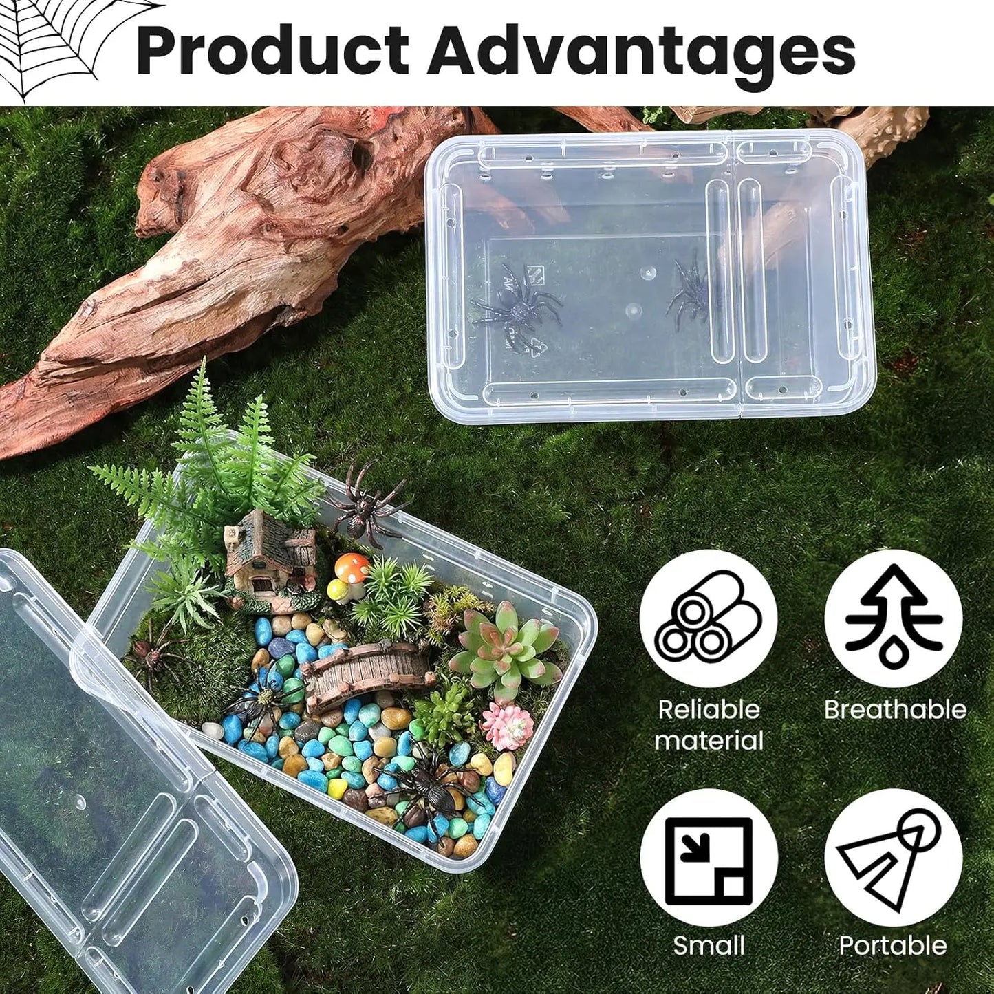 Reptile Breeding Box Terrarium Turtle Tank Silkworm Spider Horned Frog Gecko Lizard Snail Cage Portable Habitat Enclosure