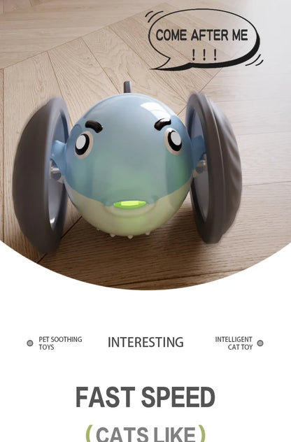 New pet self entertainment toy car, cat teasing tool, electric flying fish, intelligent running car, cat toy