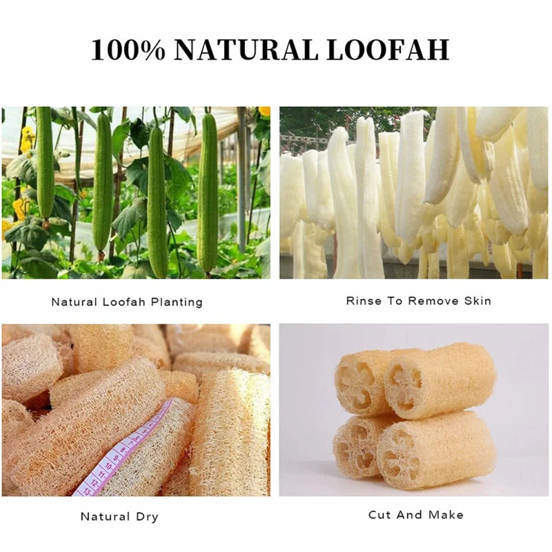 2PCS Rabbit Chew Toys, Natural Loofah Bunny Chew Toys for Teeth Cleaning, Small Animals Foraging Toy for Bunny Chinchilla