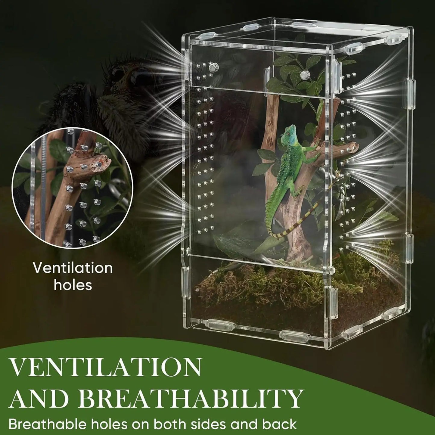 Reptile Enclosure Front Opening Escape Proof Habitat Acrylic Jumping Spider Habitat For Observation Home Pet Store Office