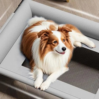 Pet Furniture Mesh Elevated Dog Beds Breathable Removable Raised Dog Bed with Pillow Outside Dog Bed Cat Patio Sunbathing