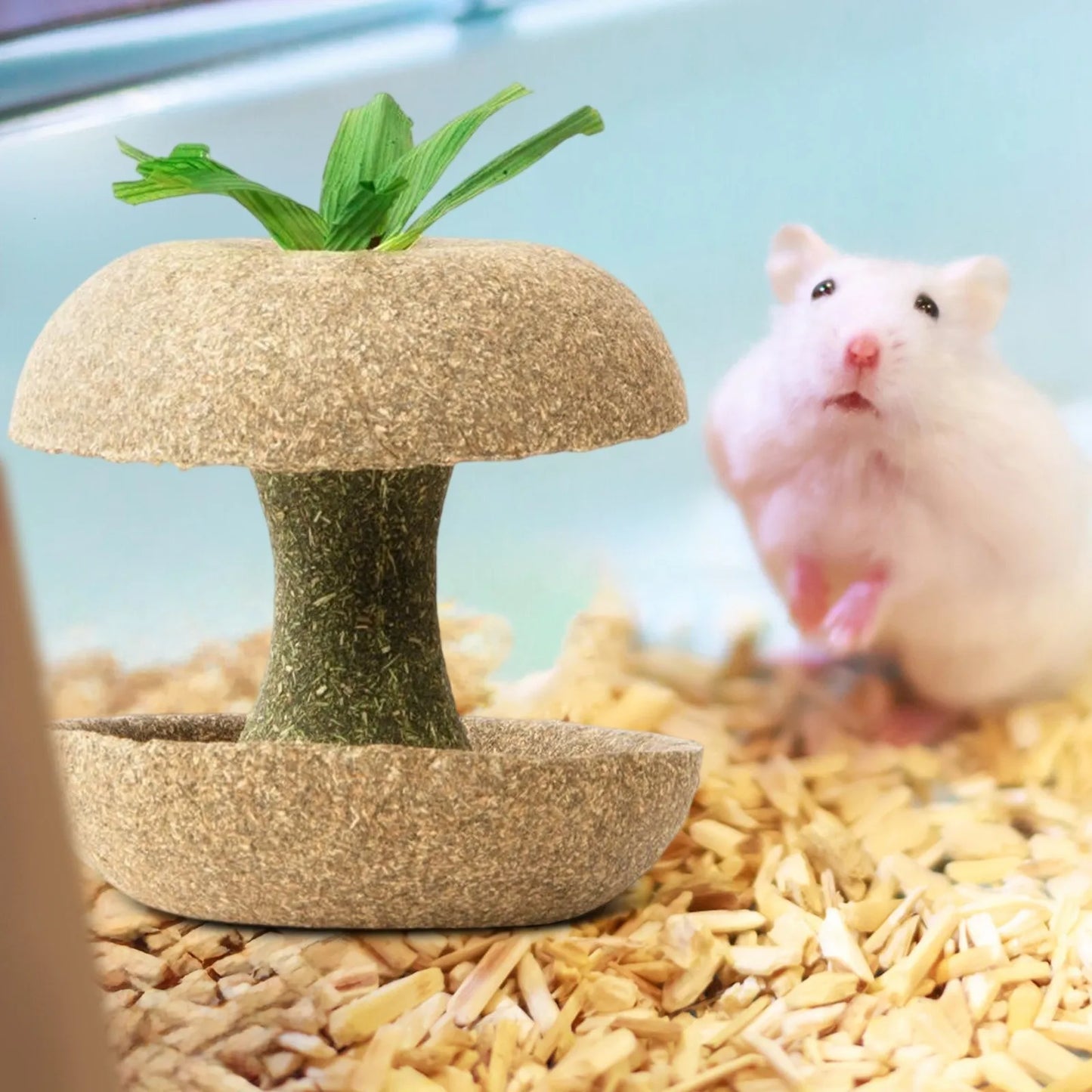 Hamster Chew Toys For Teeth Guinea Pig Chew Toys For Teeth Food Chews Treats Hamster Cage Accessories