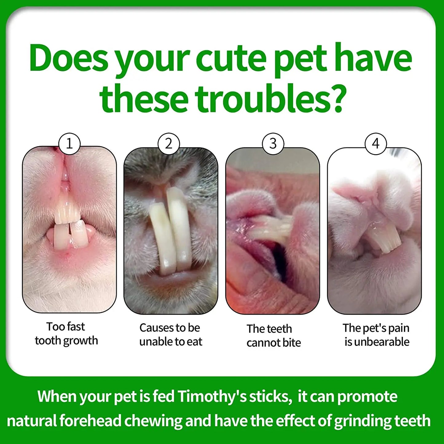 Pets Chewing Toys Carrot Timothy Hay Molar Sticks for Rabbits Guinea Pig Hamsters Chinchilla Bunny Chew Toys Teeth Treats
