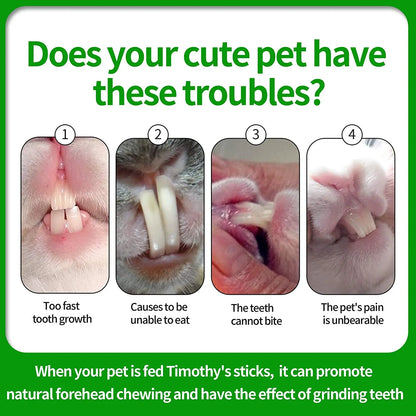 Pets Chewing Toys Carrot Timothy Hay Molar Sticks for Rabbits Guinea Pig Hamsters Chinchilla Bunny Chew Toys Teeth Treats