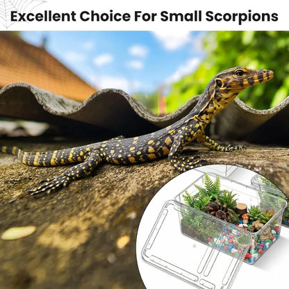 Reptile Breeding Box Terrarium Turtle Tank Silkworm Spider Horned Frog Gecko Lizard Snail Cage Portable Habitat Enclosure