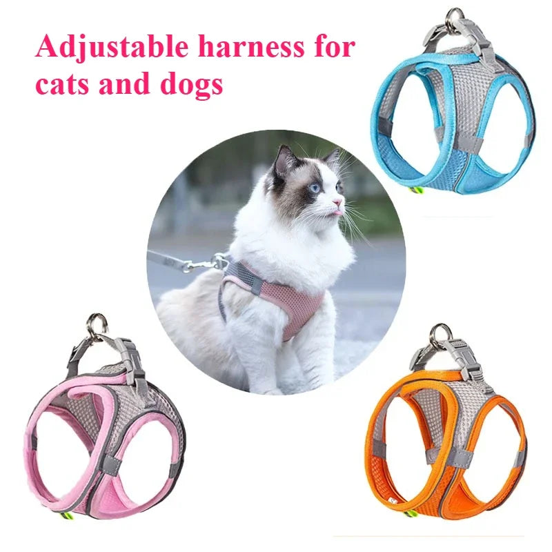 Cat Dog Toys for Aggressive Chewers Cats Dogs,Chew Squeak Toy Cats Dogs Interactive Plush Doll Pet Products